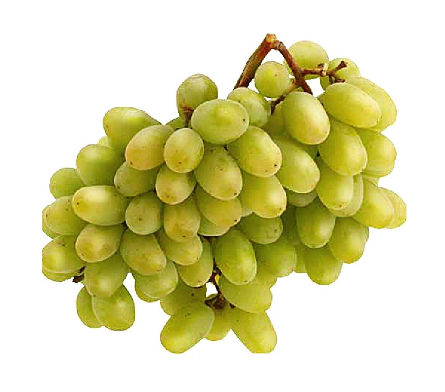 Виноград Таманский